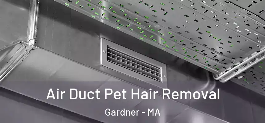  Air Duct Pet Hair Removal Gardner - MA
