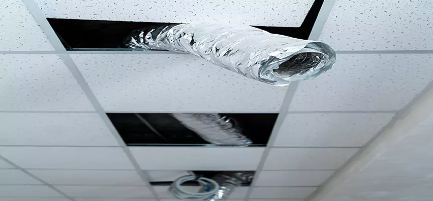 Affordable HVAC Sanitizing After Pest Removal in Gardner