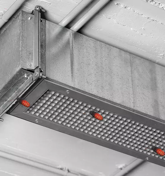 Affordable Insect Removal from Air Ducts in Gardner, MA