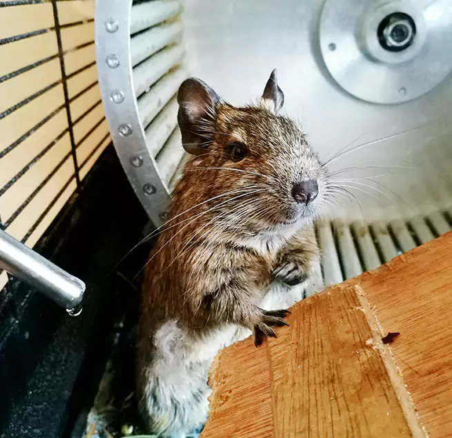 Why Homeowners & Businesses Trust Us Gardner, MA