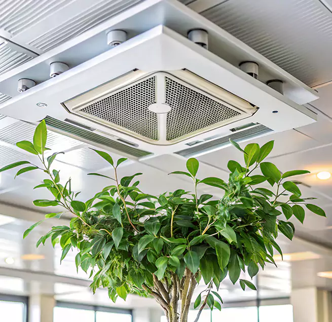 Why Homeowners & Businesses Trust Us in Gardner, MA