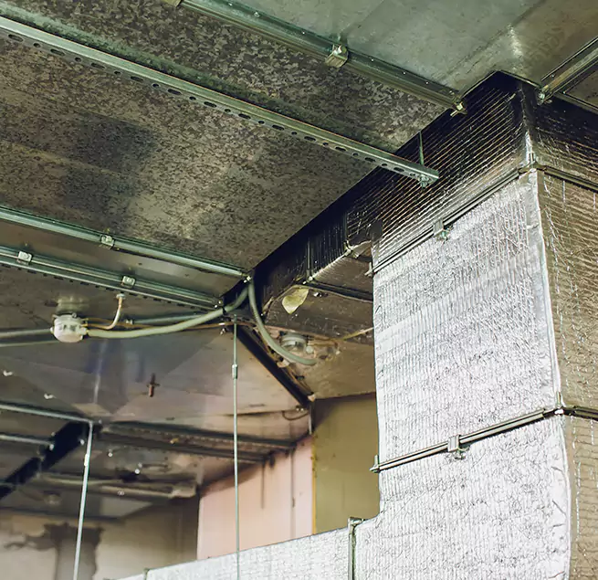 Why Homeowners & Businesses Trust Us in Gardner, MA?